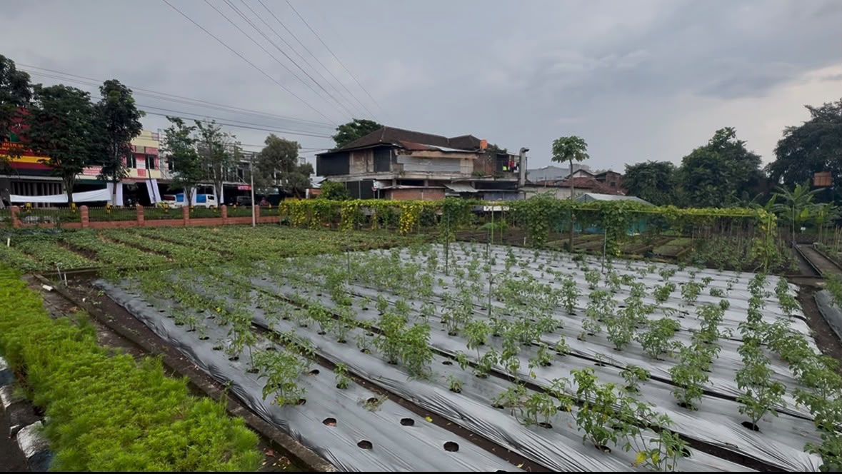 Taman Agro Inovasi